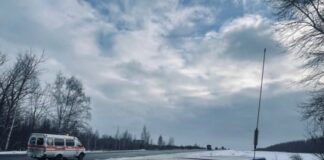 После ДТП в Пензенском районе госпитализировали двух человек