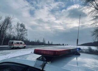 После ДТП в Пензенском районе госпитализировали двух человек