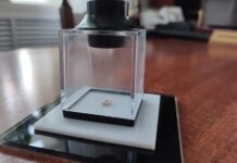 В Пензенской картинной галерее появилась микроминиатюра Константина Савицкого