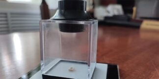 В Пензенской картинной галерее появилась микроминиатюра Константина Савицкого