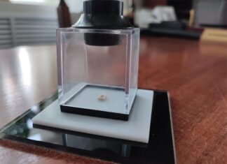 В Пензенской картинной галерее появилась микроминиатюра Константина Савицкого