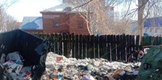 С начала марта в Пензе сгорели десять мусорных контейнеров