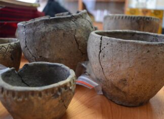 В фонды краеведческого музея поступили 25 предметов с раскопок в Пензенской области