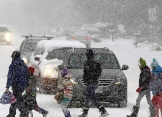 Пензенские автоинспекторы проверят соблюдение ПДД на пешеходных переходах