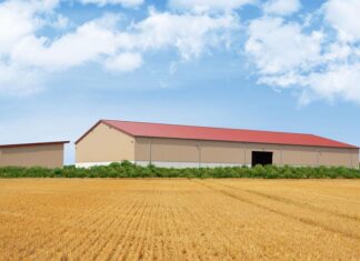 В хозяйствах Пензенской области увеличилось поголовье свиней