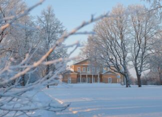 Пензенцы могут присоединиться к поэтическому марафону памяти Лермонтова