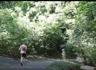 В конце июля в Пензе займутся благоустройством Тропы здоровья