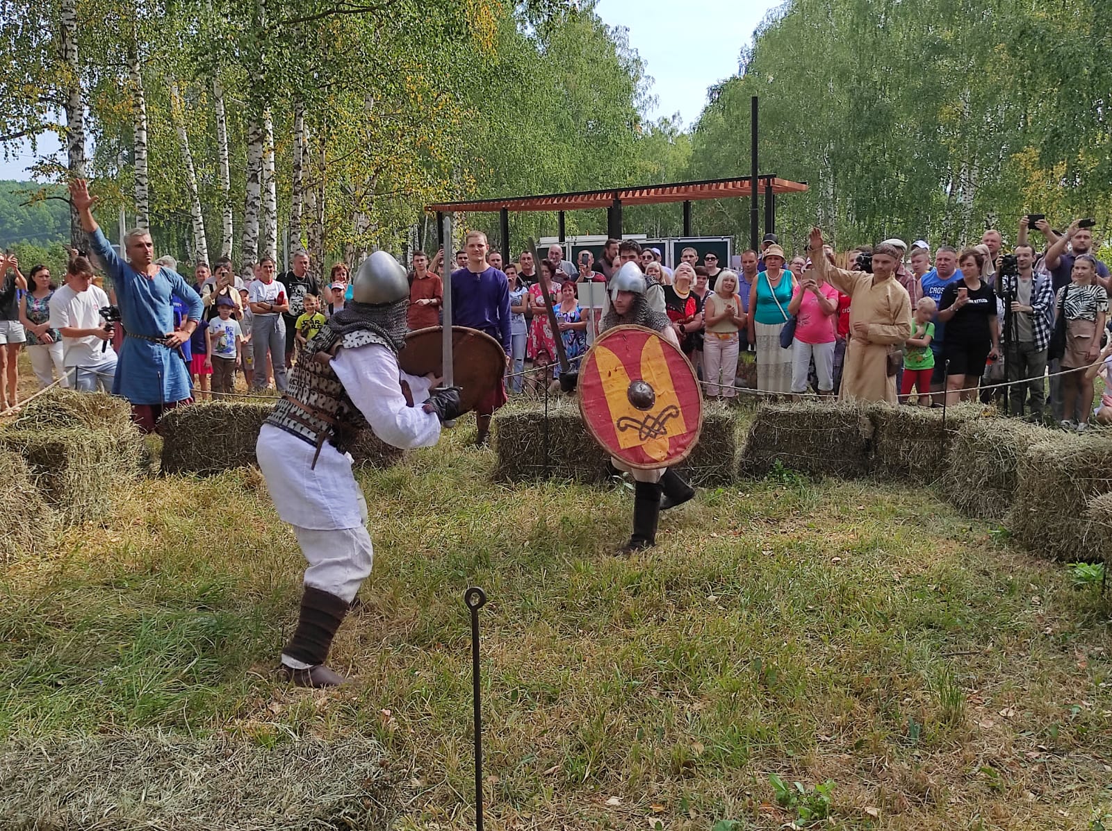 Золотаревское городище фото