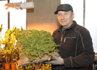 Фестиваль «Сезон уДачи»: садоводам-огородникам есть чему поучиться!