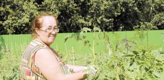 Дачный калейдоскоп