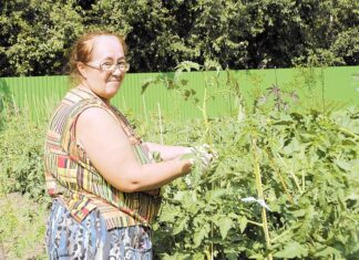 Дачный калейдоскоп