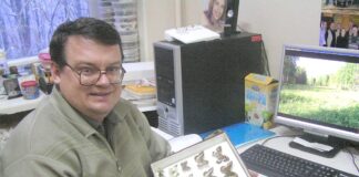 Одни насекомые вымирают, другие плодятся