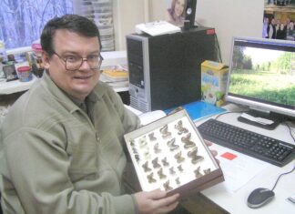 Одни насекомые вымирают, другие плодятся