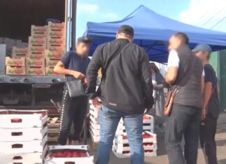 В 2024 году иностранцы совершили в Сурском крае 96 преступлений