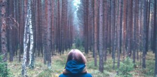 Лосиная муха страшнее дикого зверя!