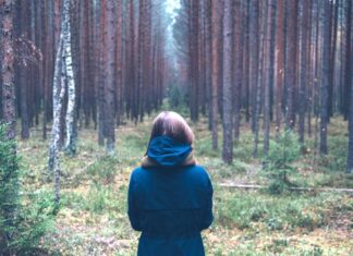 Лосиная муха страшнее дикого зверя!