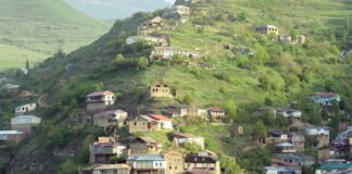 История, сохраненная в кадре