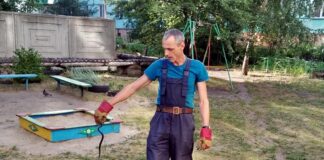 Почему змеи оказываются в городе