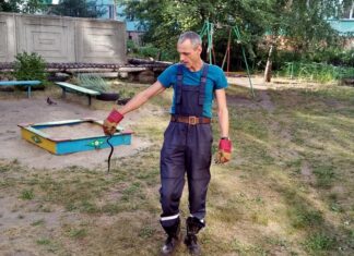 Почему змеи оказываются в городе