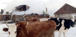 В огне погибли 76 жителей Сурского края