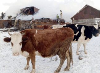 В огне погибли 76 жителей Сурского края