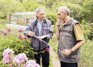 Дачные участки всетаки придется межевать!