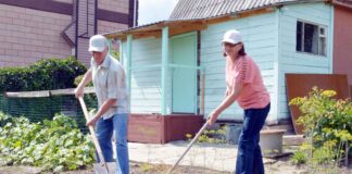 Открываем дачный сезон так, чтобы потом не пожалеть об этом