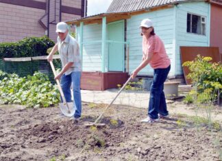 Открываем дачный сезон так, чтобы потом не пожалеть об этом