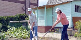 На каждую дачную проблему есть удачное решение