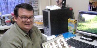 Пауки-осы и лосиные мухи: как не стать жертвой