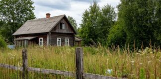 У кого будут изымать дачные участки