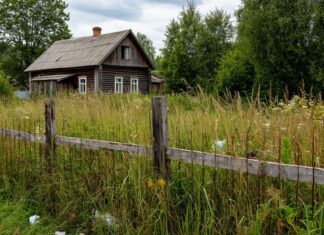 У кого будут изымать дачные участки