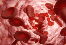 Загадки гемоглобина