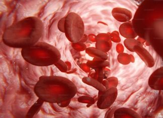 Загадки гемоглобина