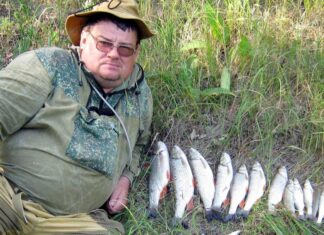 Опасная рыба Сурского края