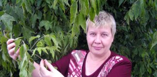 Садово-огородные советы от Елены Храмцовой