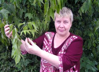 Садово-огородные советы от Елены Храмцовой