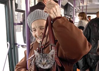 Минимальная пенсия вырастет на 6,8 процента