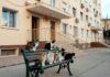 Подвалы МКД закроют для кошек