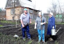 Кто не сможет получить дачу в наследство