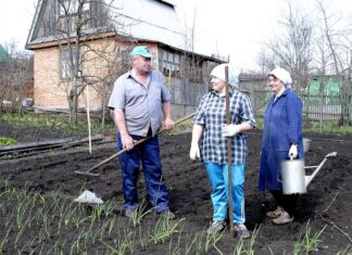 Кто не сможет получить дачу в наследство