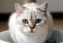 Мочекаменная болезнь: как распознать и что делать