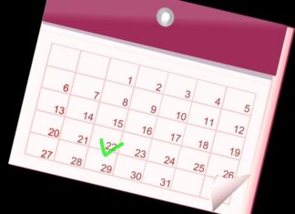 Появился график работы пензенского Соцфонда в новогодние праздники