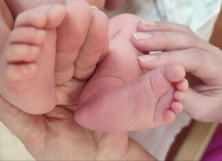 В январе в Сердобске на свет появились 12 малышей