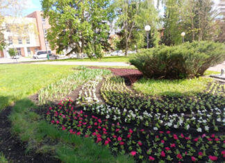 В Пензе приступили к оформлению цветников ко Дню Победы