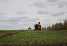 Пензенские аграрии получат субсидии почти на 678 миллионов рублей для развития АПК