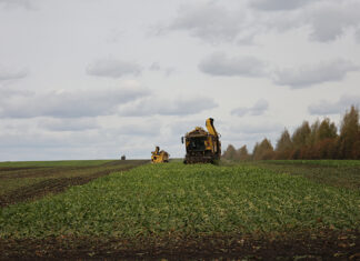 Из Пензенской области экспортировали более 70 тысяч тонн зерна в Латвию, Турцию и Германию