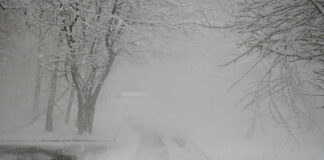 Погода на 8 марта: в Пензе снег и -5 градусов