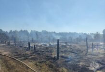 В Пензенской области произошли пожары в дачных массивах