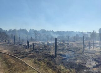 В Пензенской области произошли пожары в дачных массивах